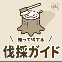伐採ガイド
