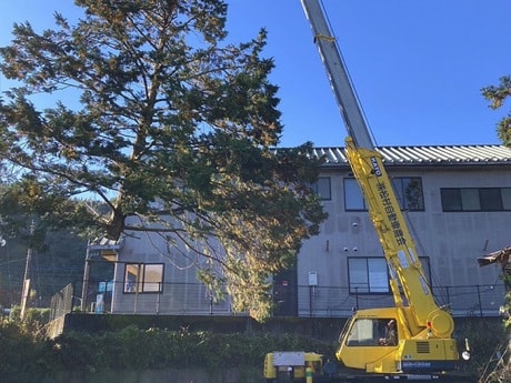 実績が沢山ある業者か?