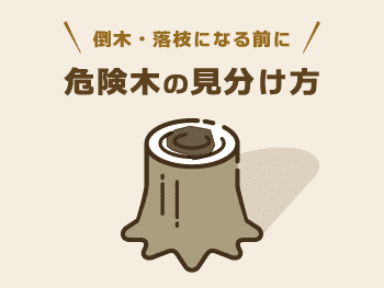 お庭の危険木の見分け方