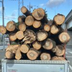 丸太入りました…