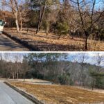 伐採・処分・整地…